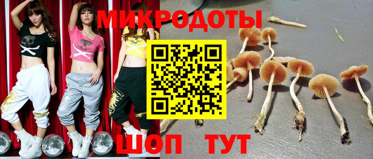 Туапсе  Псилоцибиновые грибы Psilocybine cubensis  Вход с VPN  Псилоцибиновые грибы Cubensis 