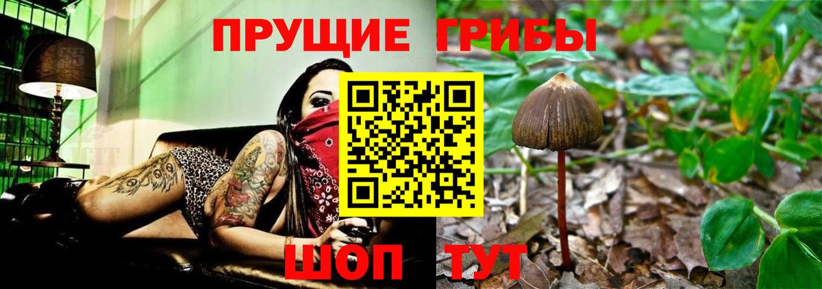 Псилоцибиновые грибы ЛСД Туапсе